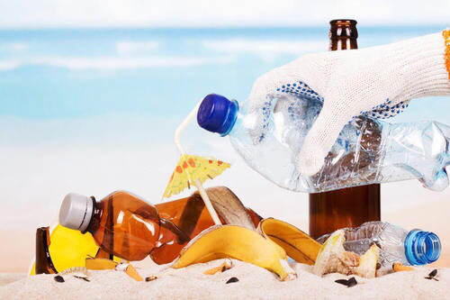 森林城市運(yùn)營部和項目部的同事及家屬自發(fā)組織凈灘行動